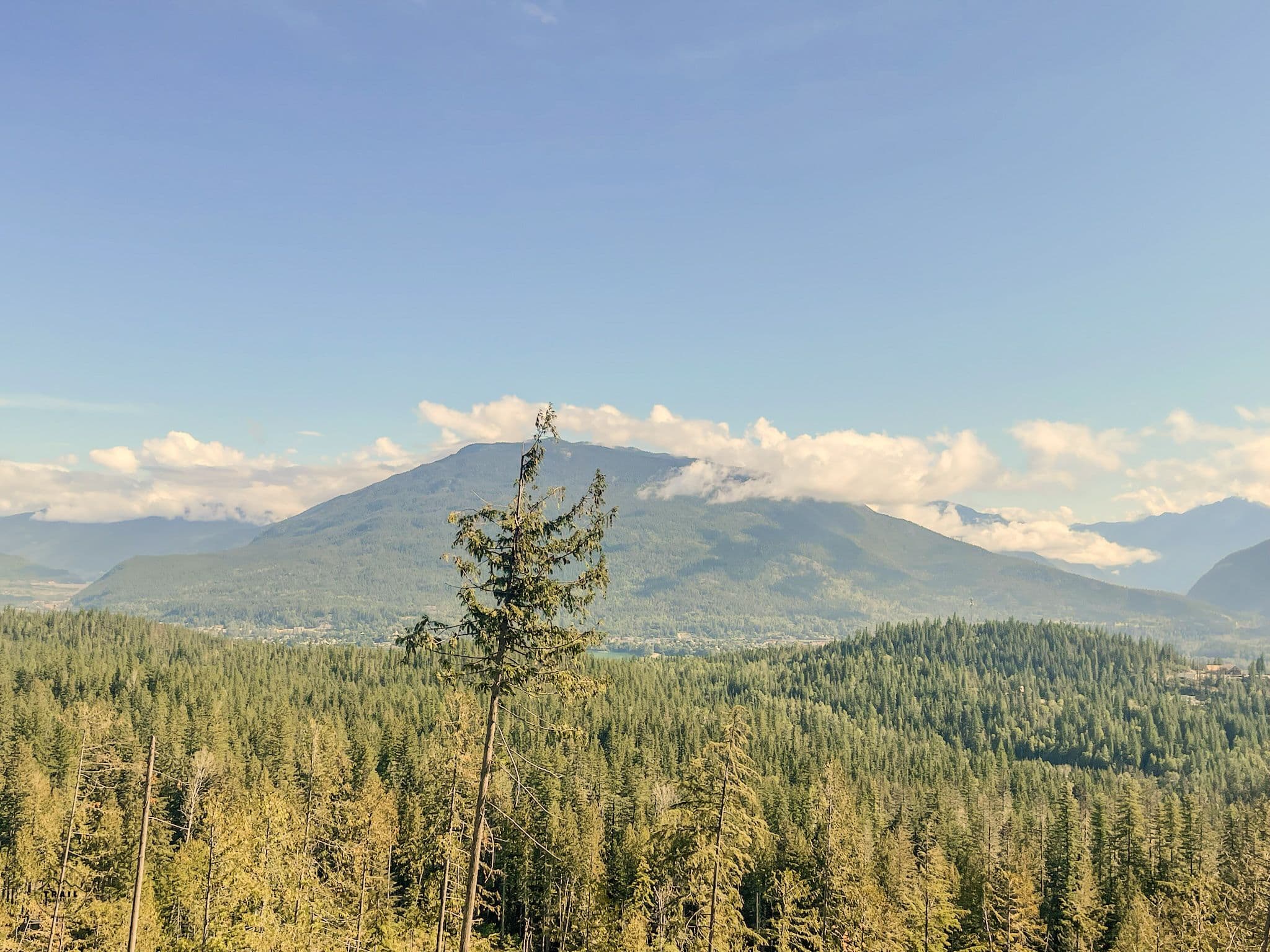 Boulder Mountain Trails near Revelstoke