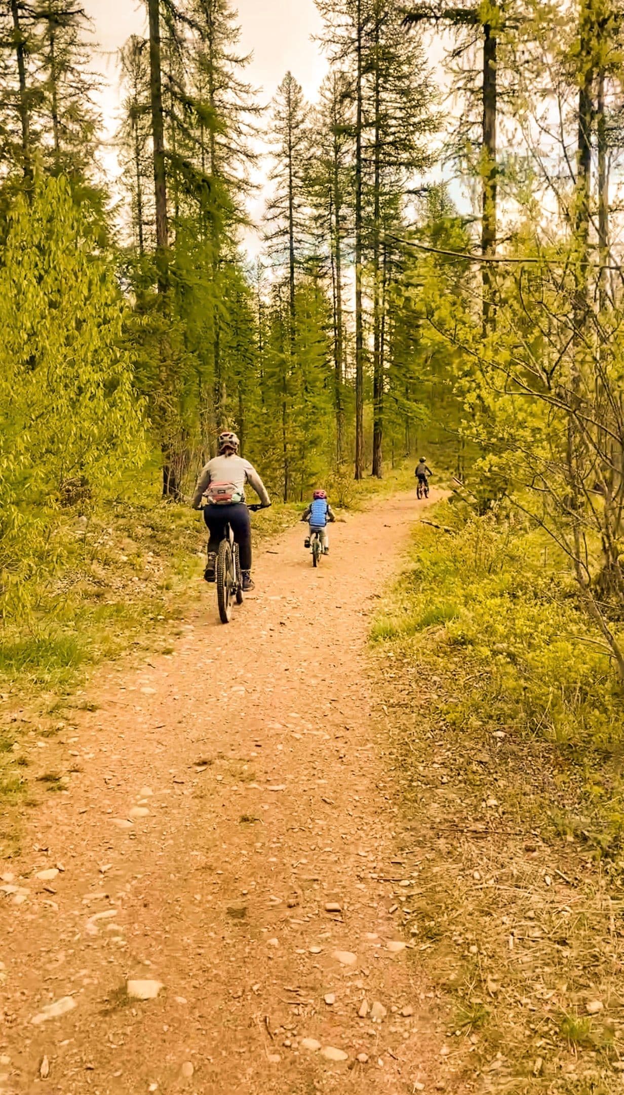 Kids mountain biking on a forest trail in the Kootenays
